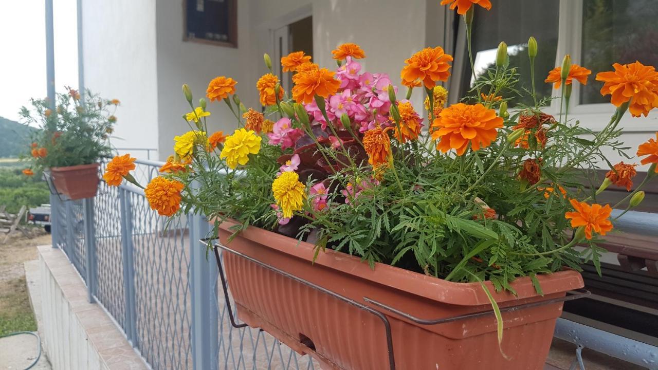 Farm House Godinje Exterior foto